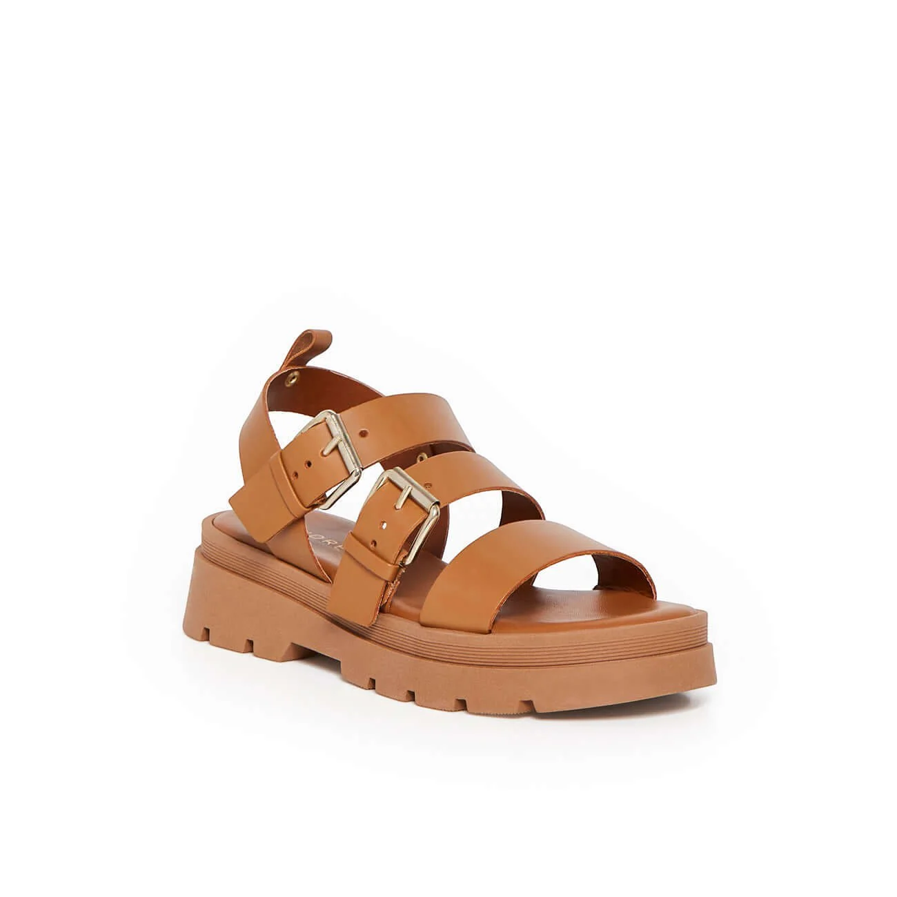 ADONIS CAMEL - Image 3