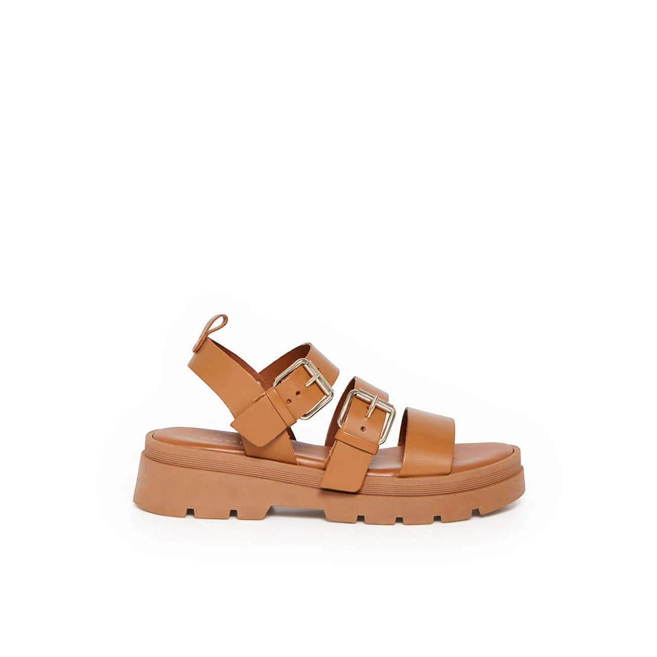 ADONIS CAMEL - Image 4