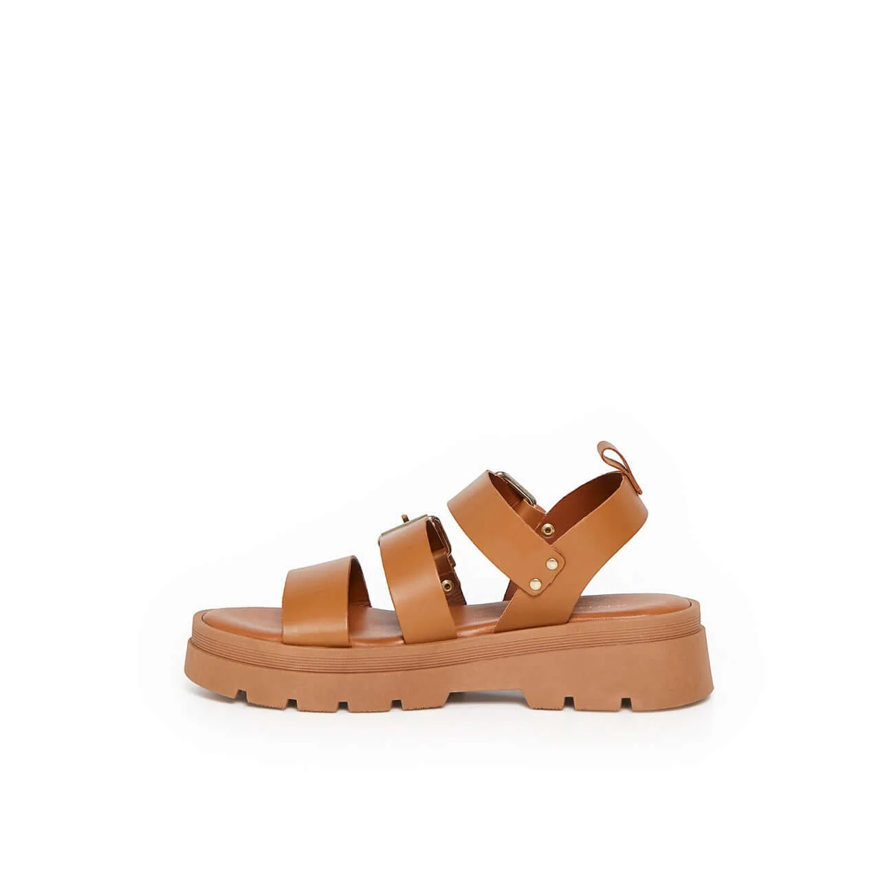 ADONIS CAMEL - Image 5