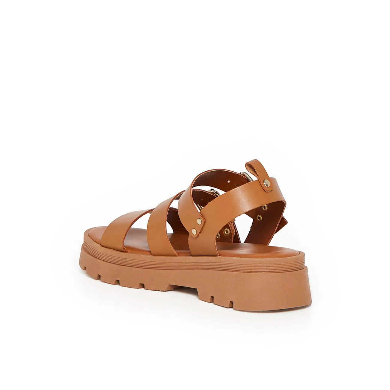 ADONIS CAMEL - Image 6